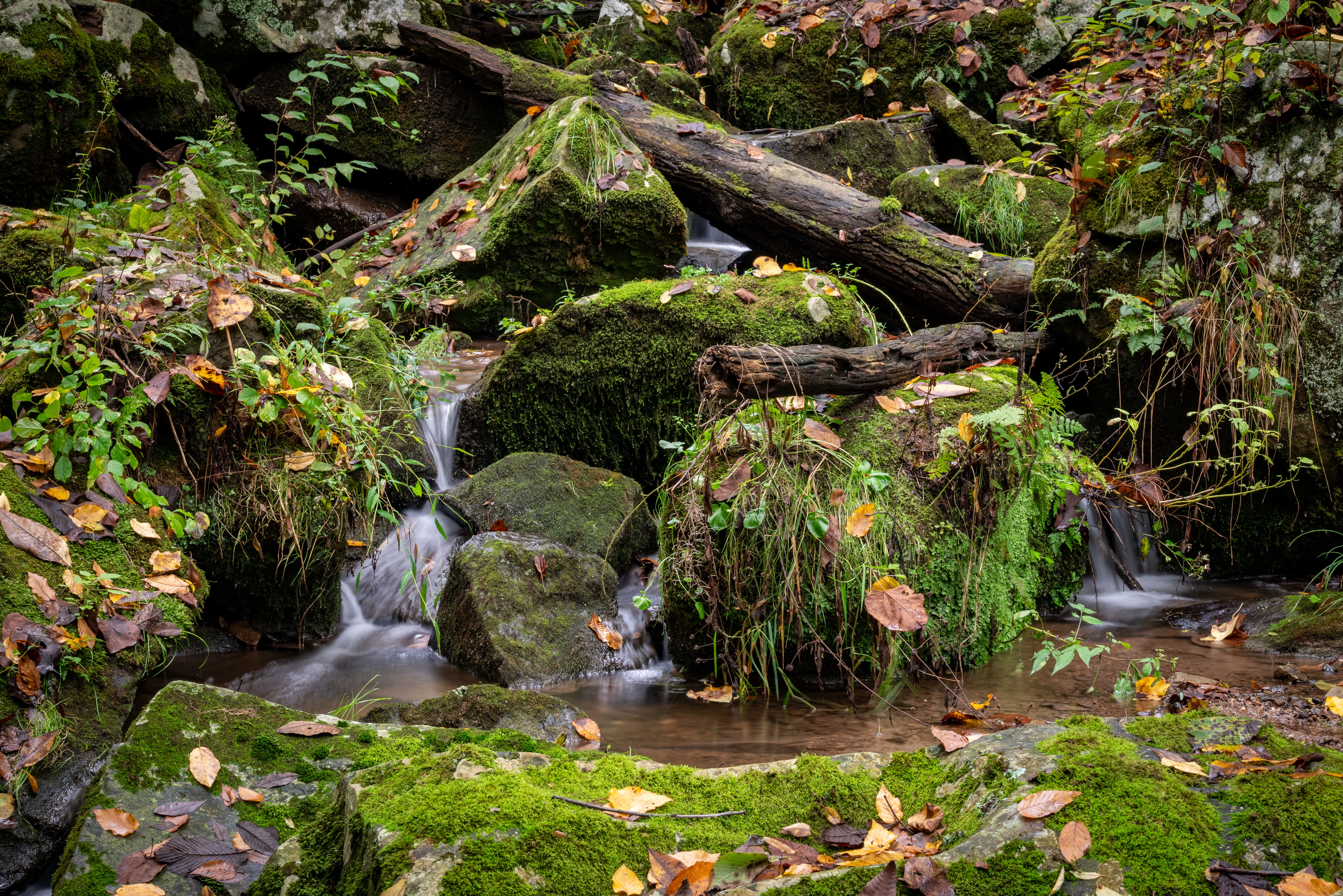 Buttermilk Falls