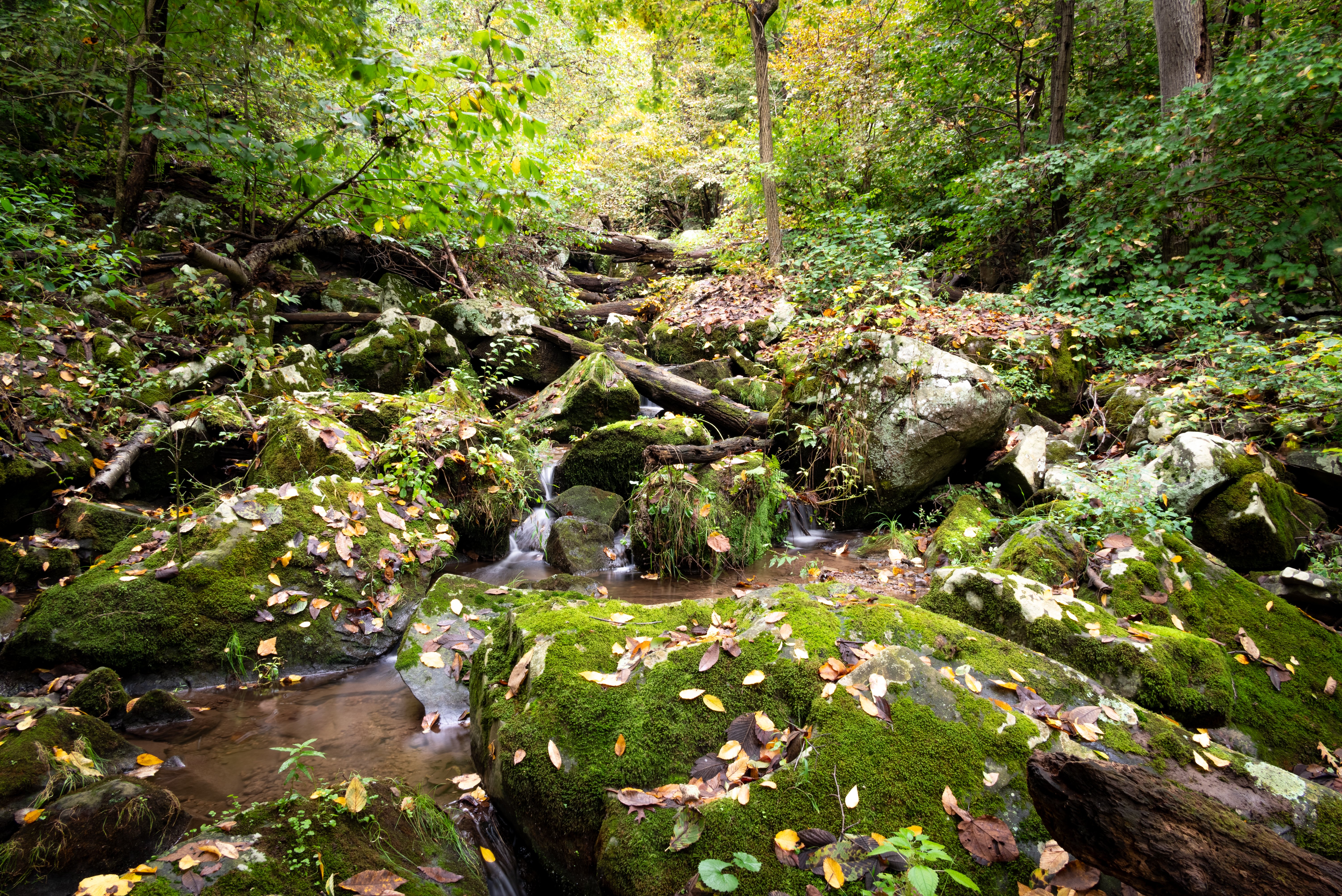 Buttermilk Falls