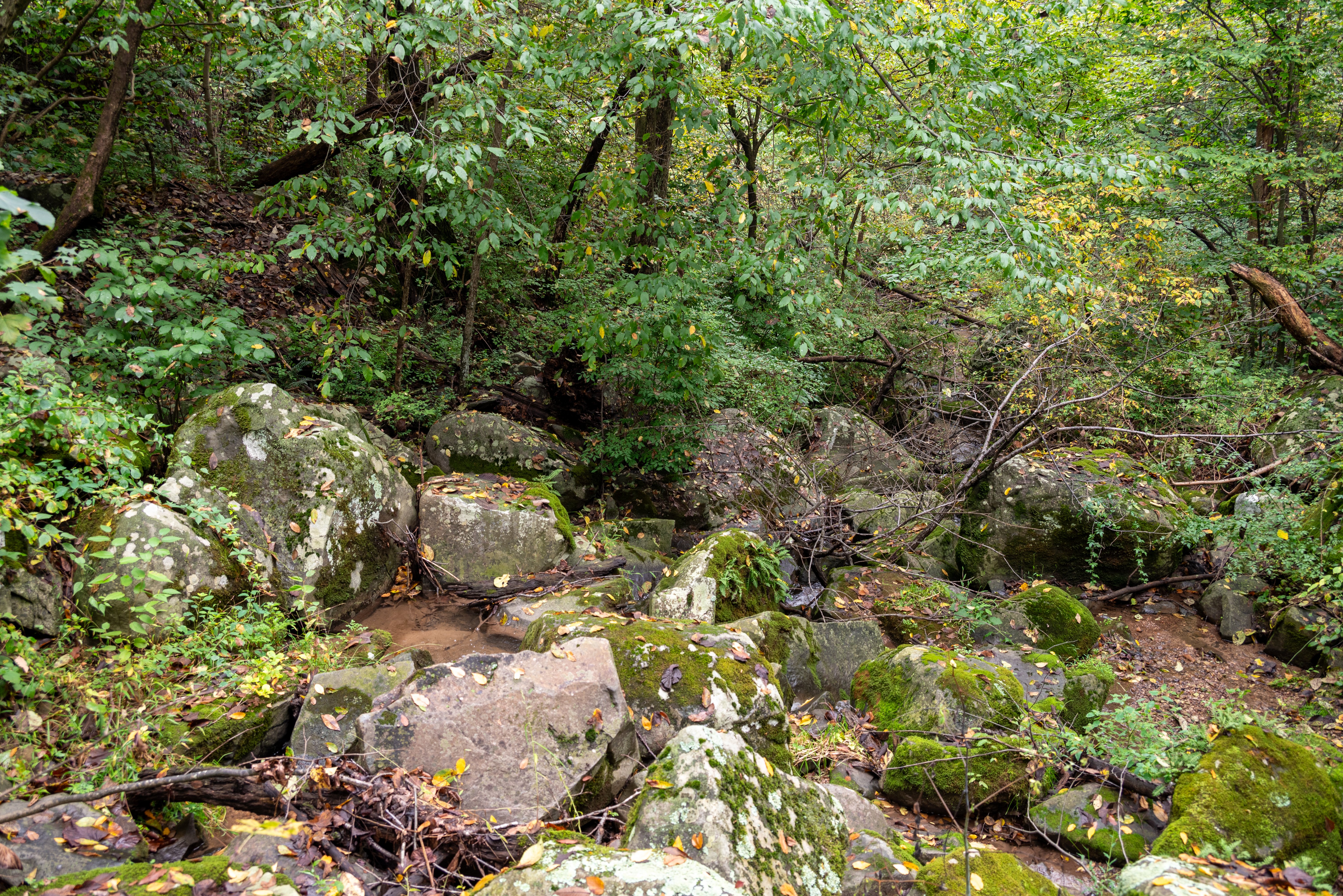 Buttermilk Falls
