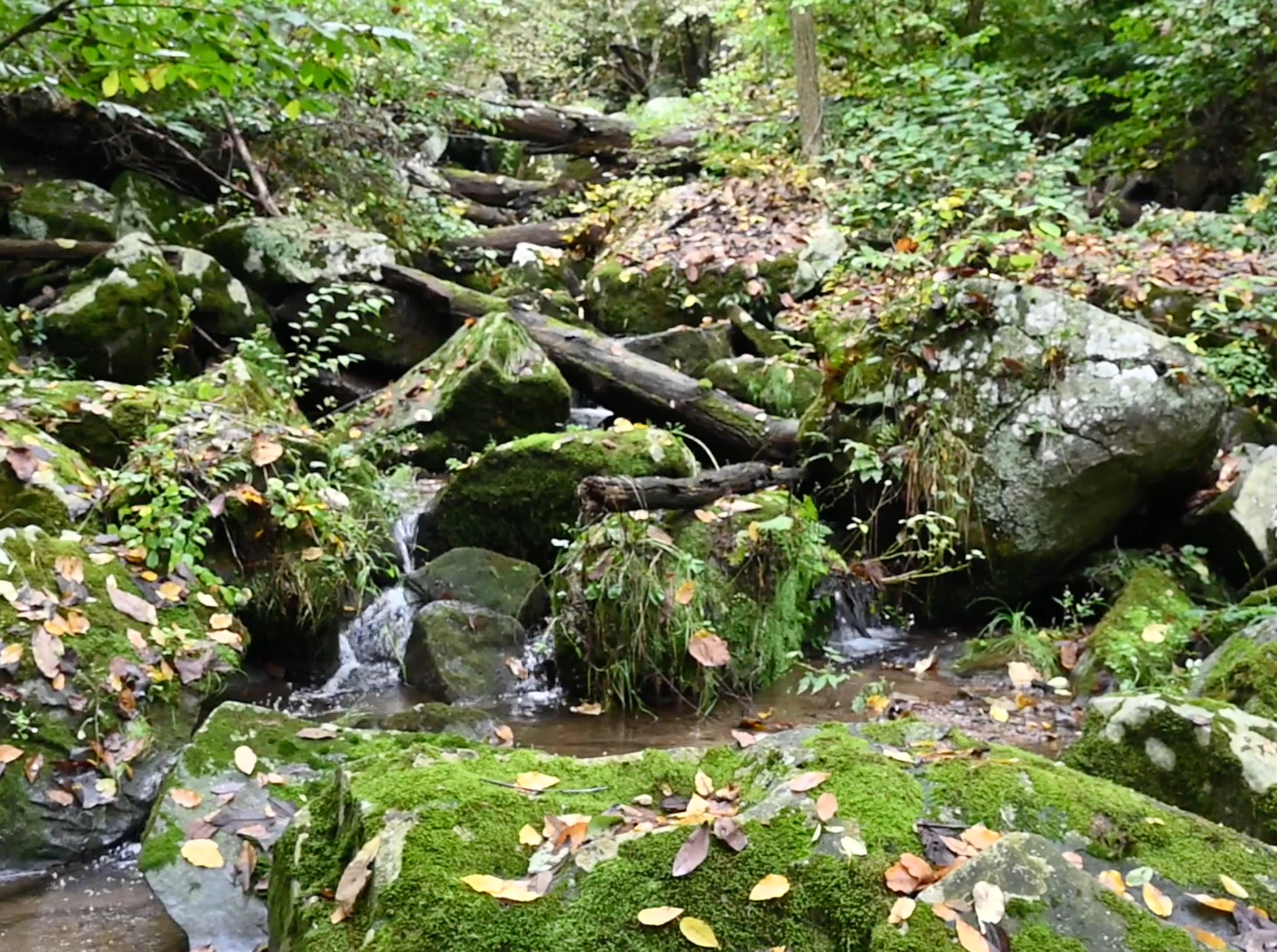 Buttermilk Falls waterfall