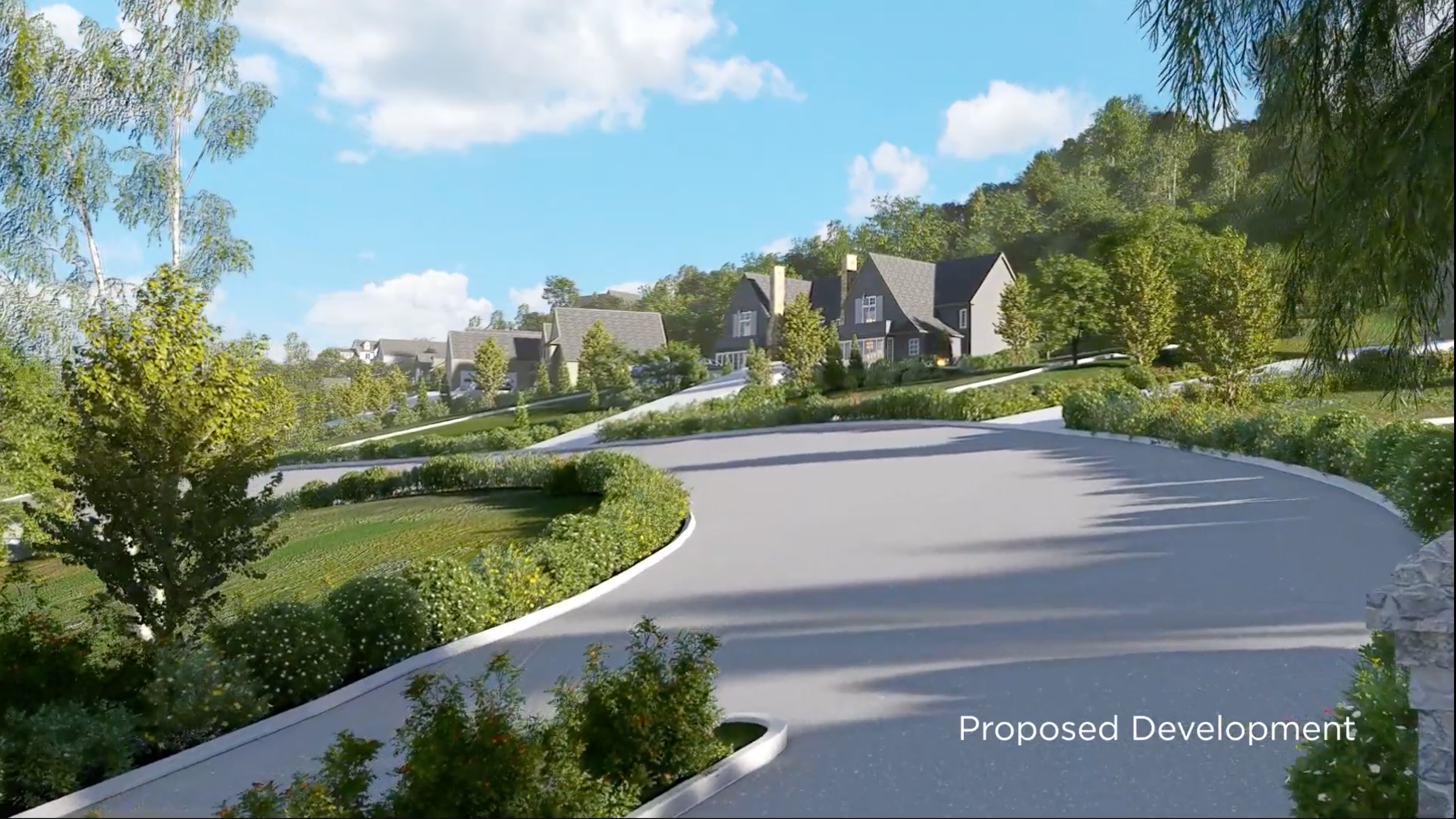 Proposed development